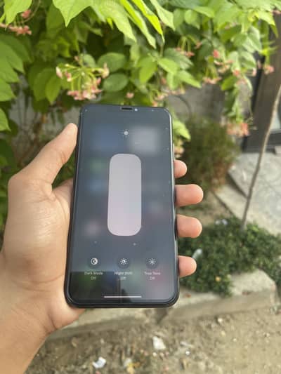 Apple iPhone XS Max