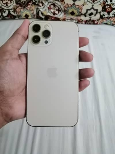 Apple iPhone 12 Pro Max