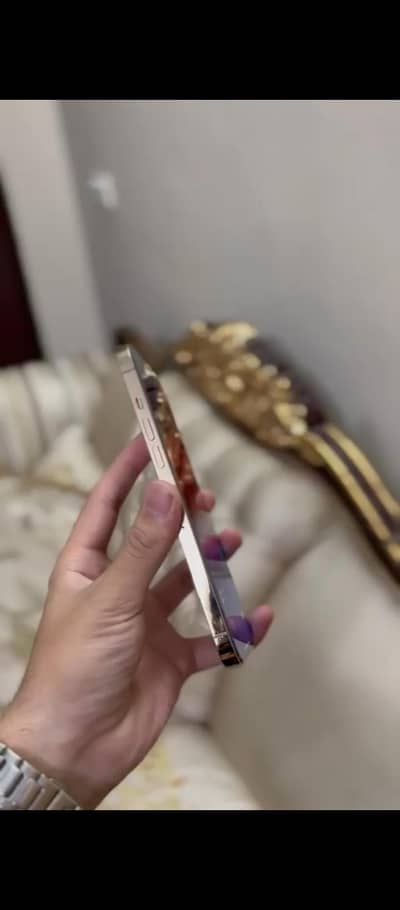 Apple iPhone 12 Pro Max