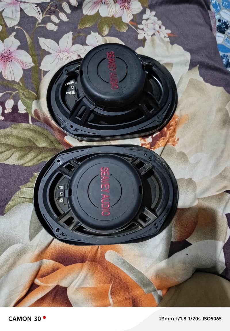 speaker 0