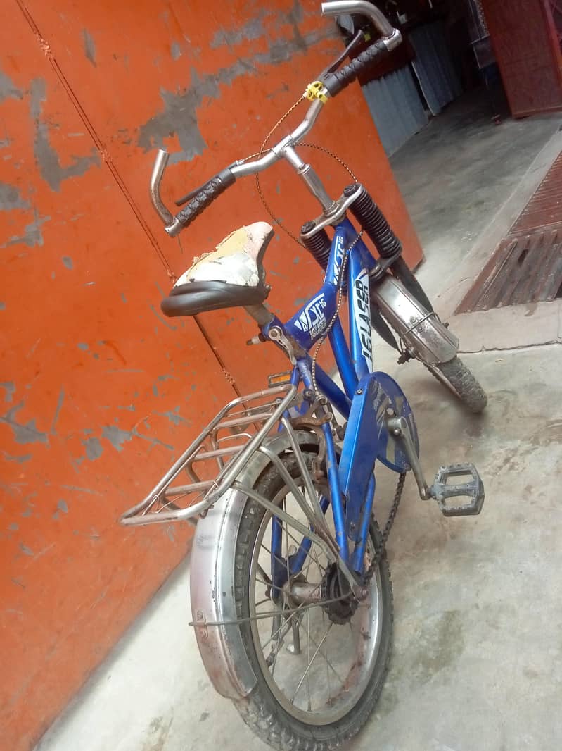 child bycycle 1