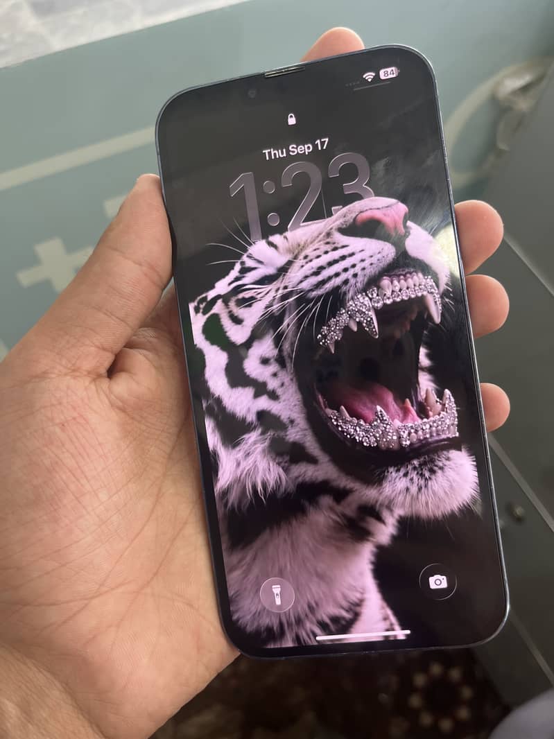 Apple iPhone 13 Pro Max 1
