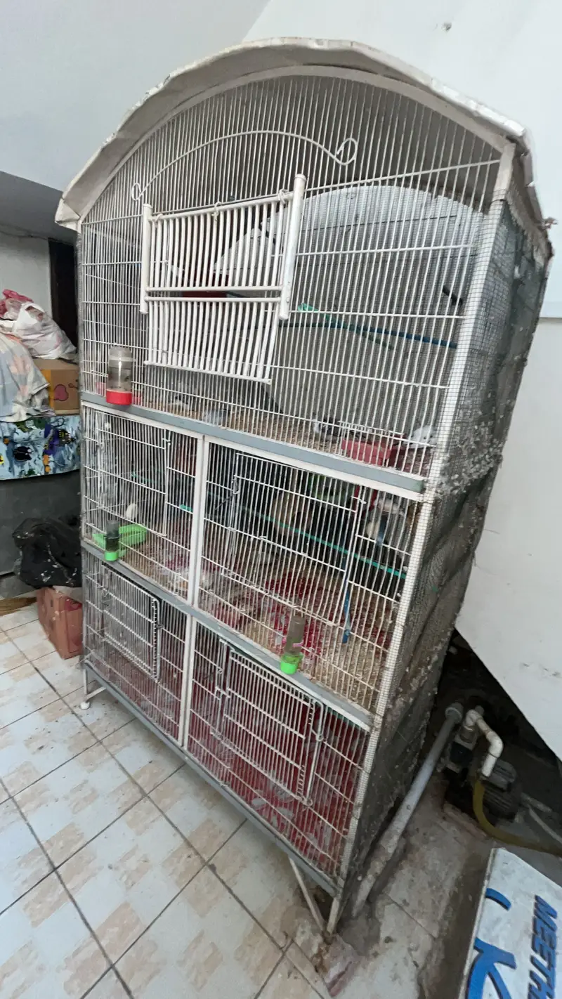 Birds Cage with 3 portions. Good quality — photo 2
