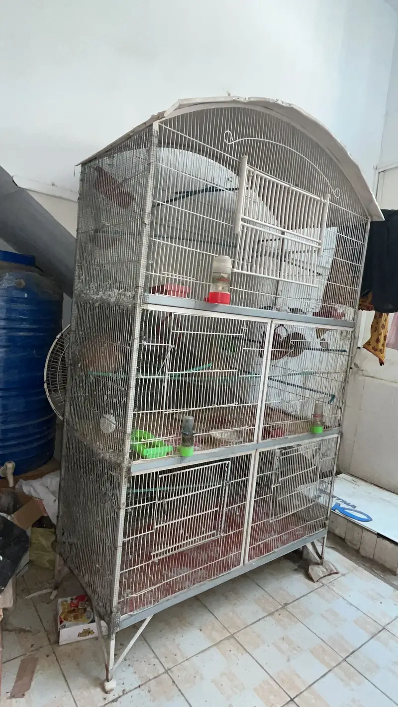 Birds Cage with 3 portions. Good quality — photo 3