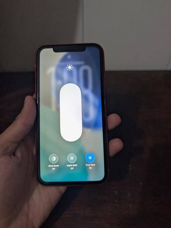Apple iPhone 11 1