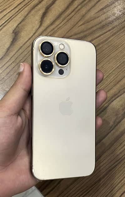 Apple iPhone 13 Pro