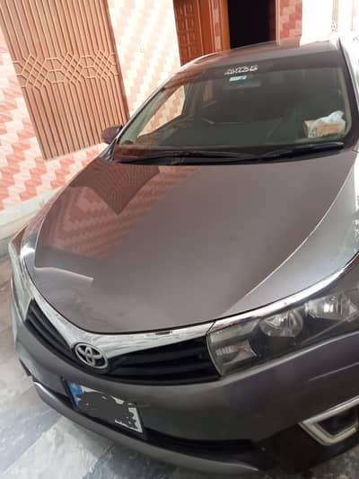 Toyota Corolla (GLI) 2015/2016