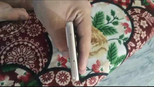 Samsung Mobile A33 5G