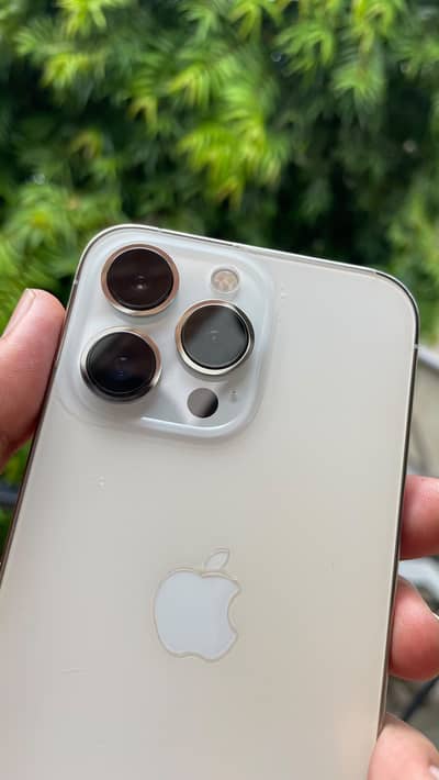 Apple iPhone 13 Pro  (03051036915)