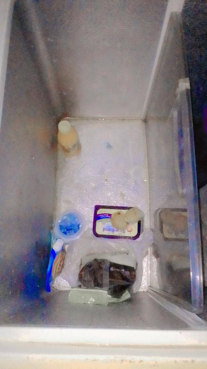 freezer 3