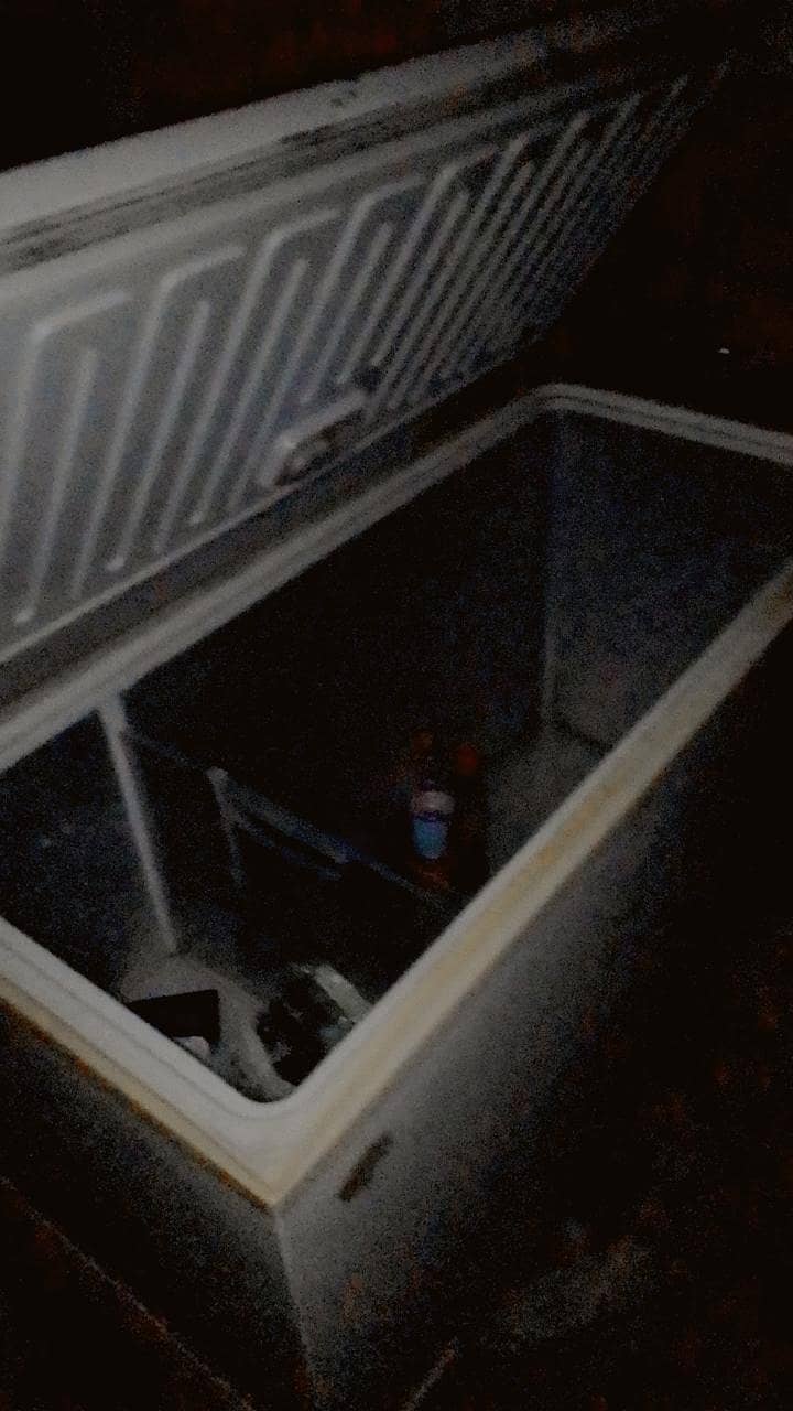 freezer 4