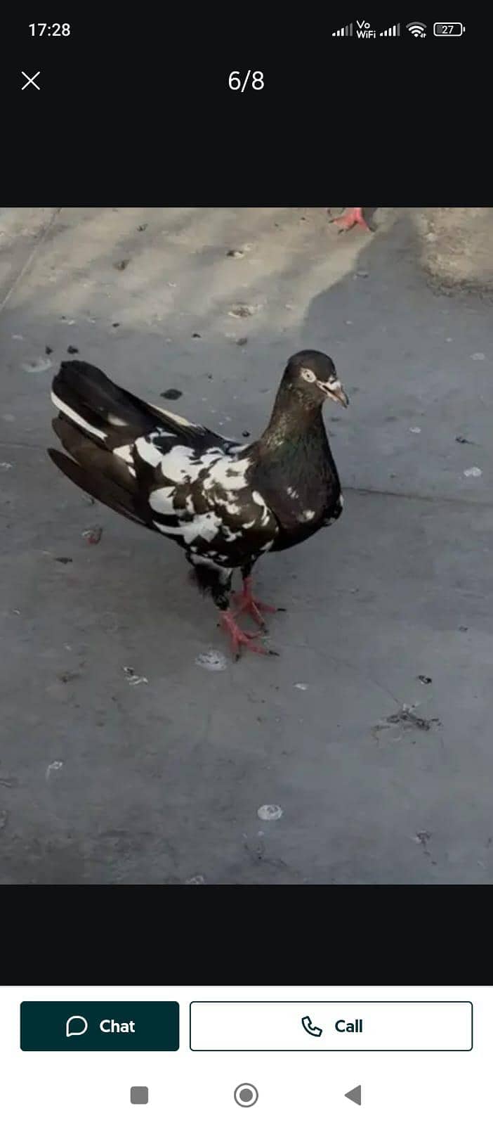 kabli 0