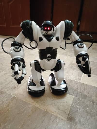 Robosapine robot