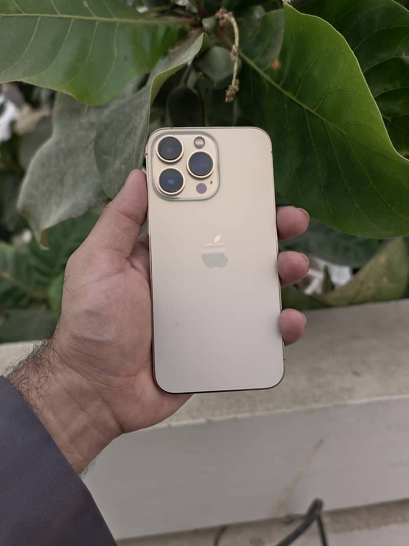 Apple iPhone 13 Pro 0