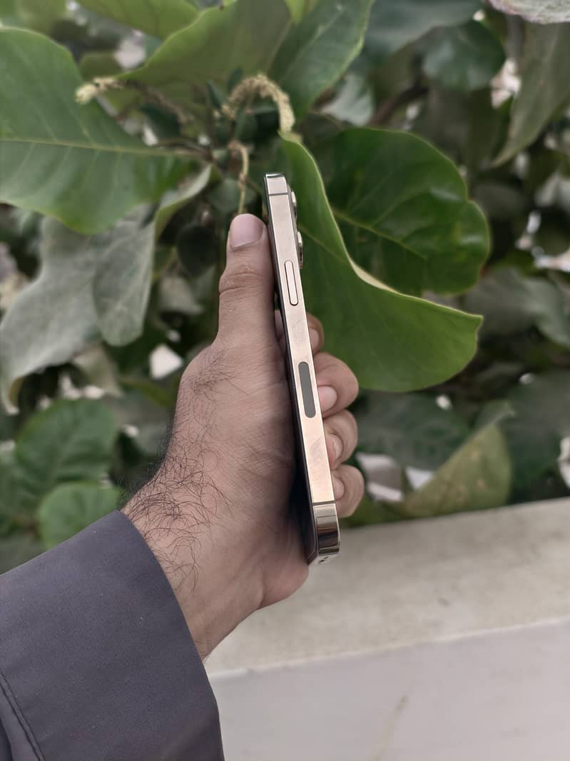 Apple iPhone 13 Pro 2
