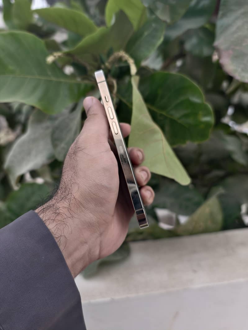 Apple iPhone 13 Pro 3