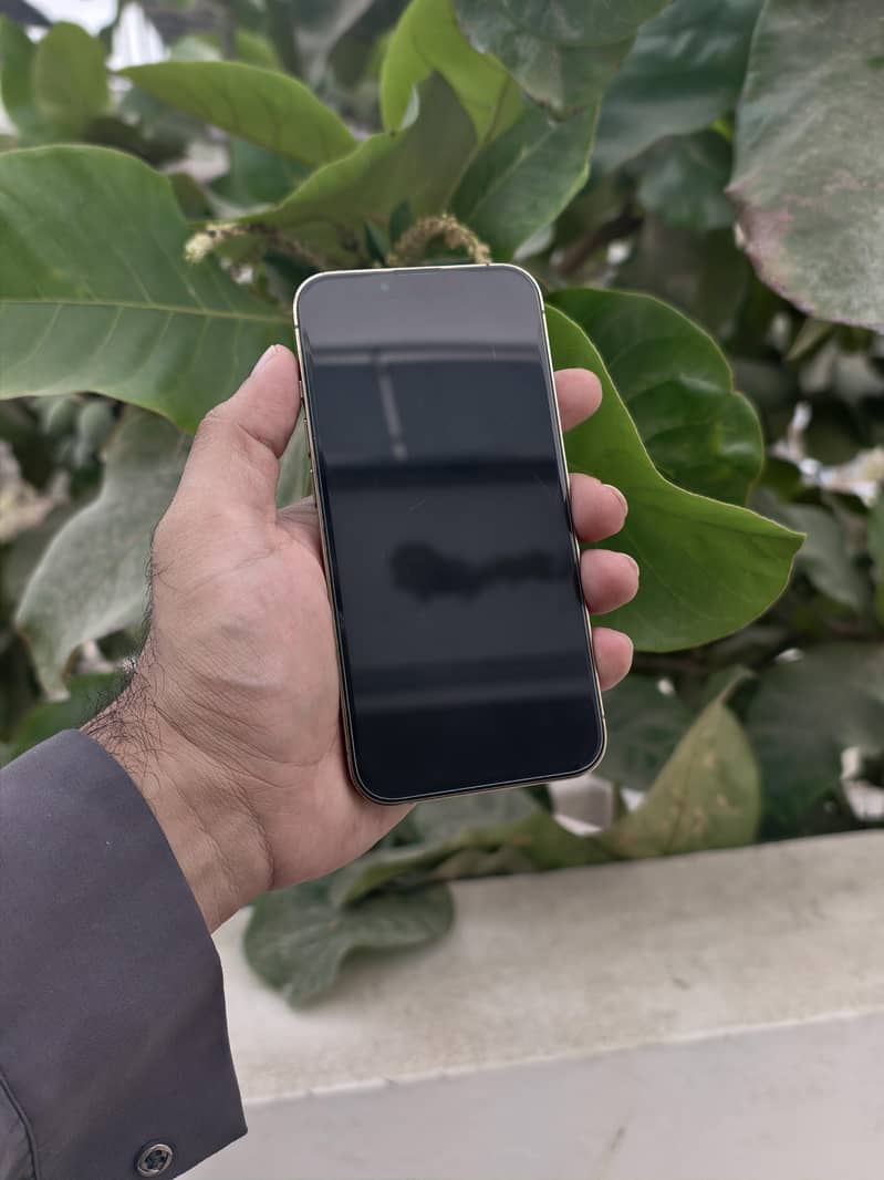 Apple iPhone 13 Pro 5