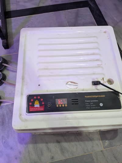 Intelligent Egg Incubator — 60 Eggs Capacity | Automatic