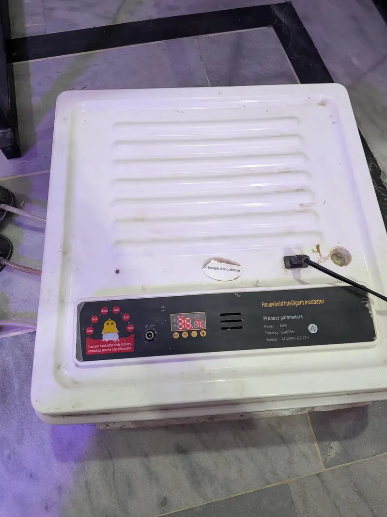 Intelligent Egg Incubator — 60 Eggs Capacity | Automatic — photo 2