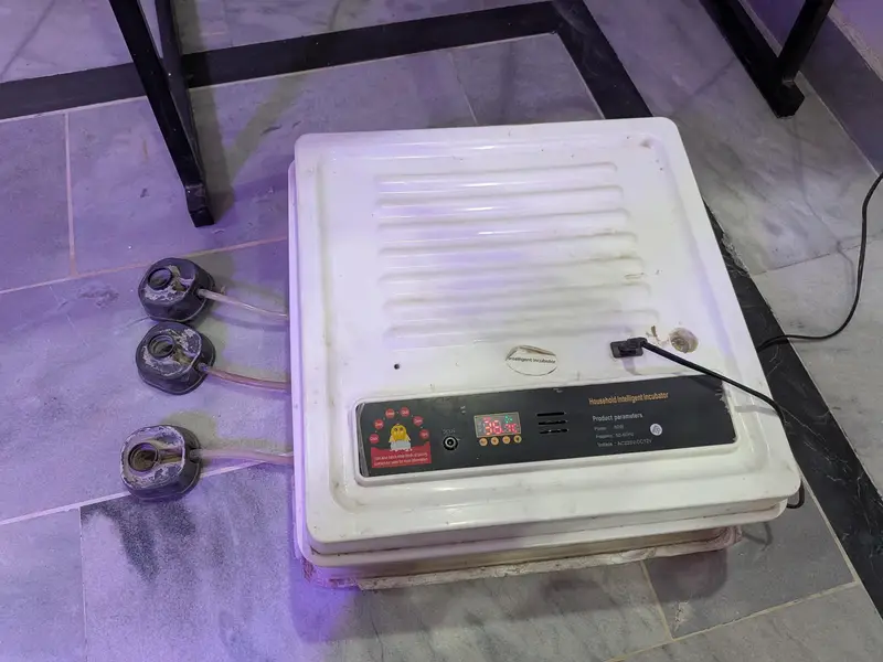Intelligent Egg Incubator — 60 Eggs Capacity | Automatic — photo 3