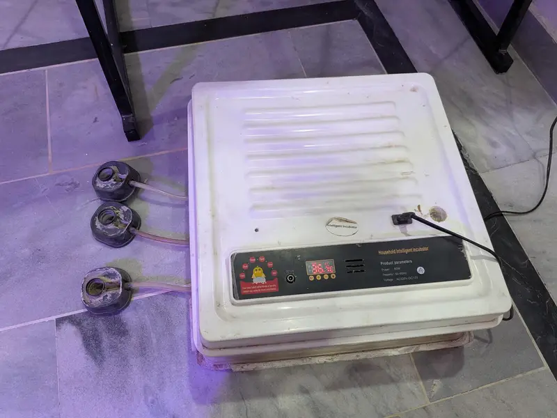Intelligent Egg Incubator — 60 Eggs Capacity | Automatic — photo 4