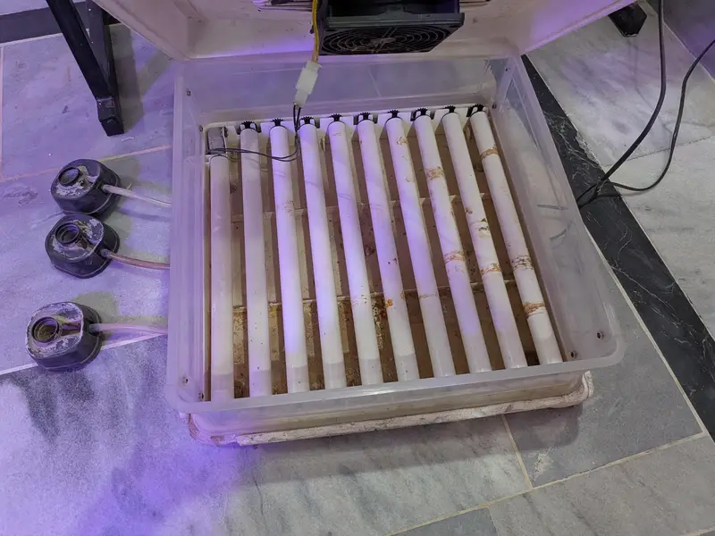 Intelligent Egg Incubator — 60 Eggs Capacity | Automatic — photo 5