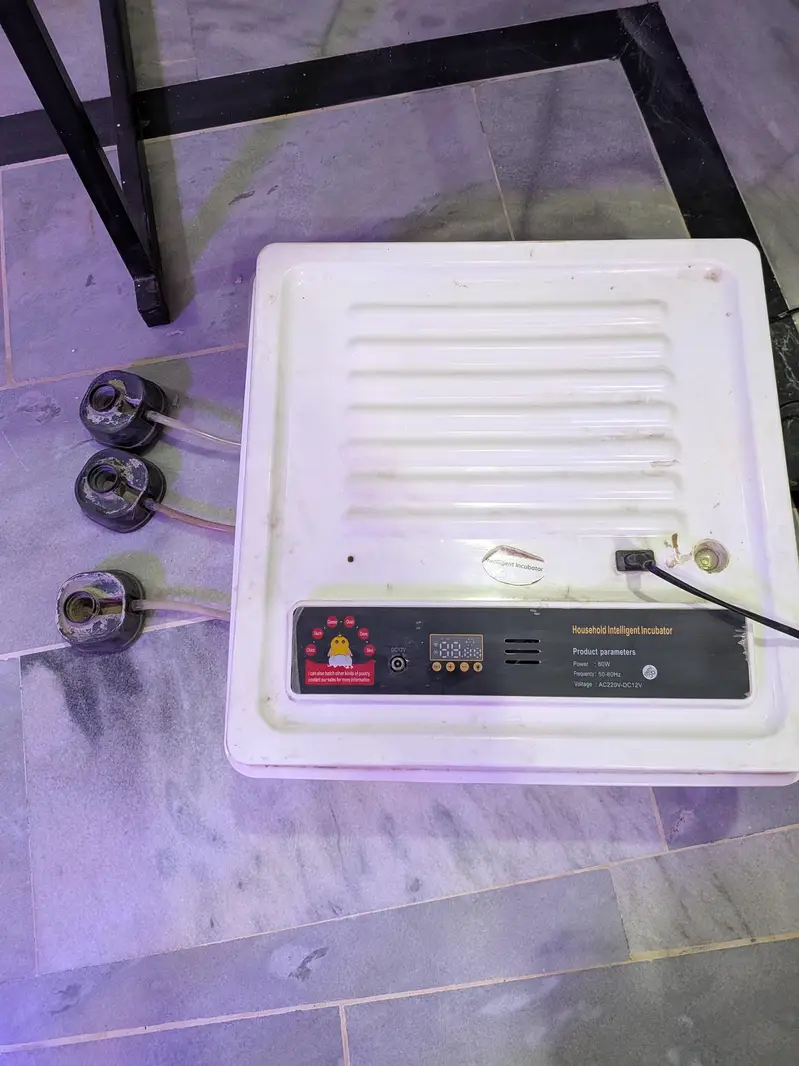 Intelligent Egg Incubator — 60 Eggs Capacity | Automatic — photo 7
