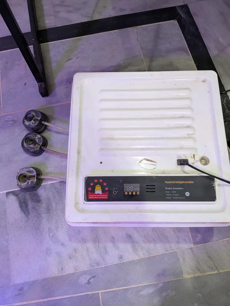 Intelligent Egg Incubator — 60 Eggs Capacity | Automatic — photo 8