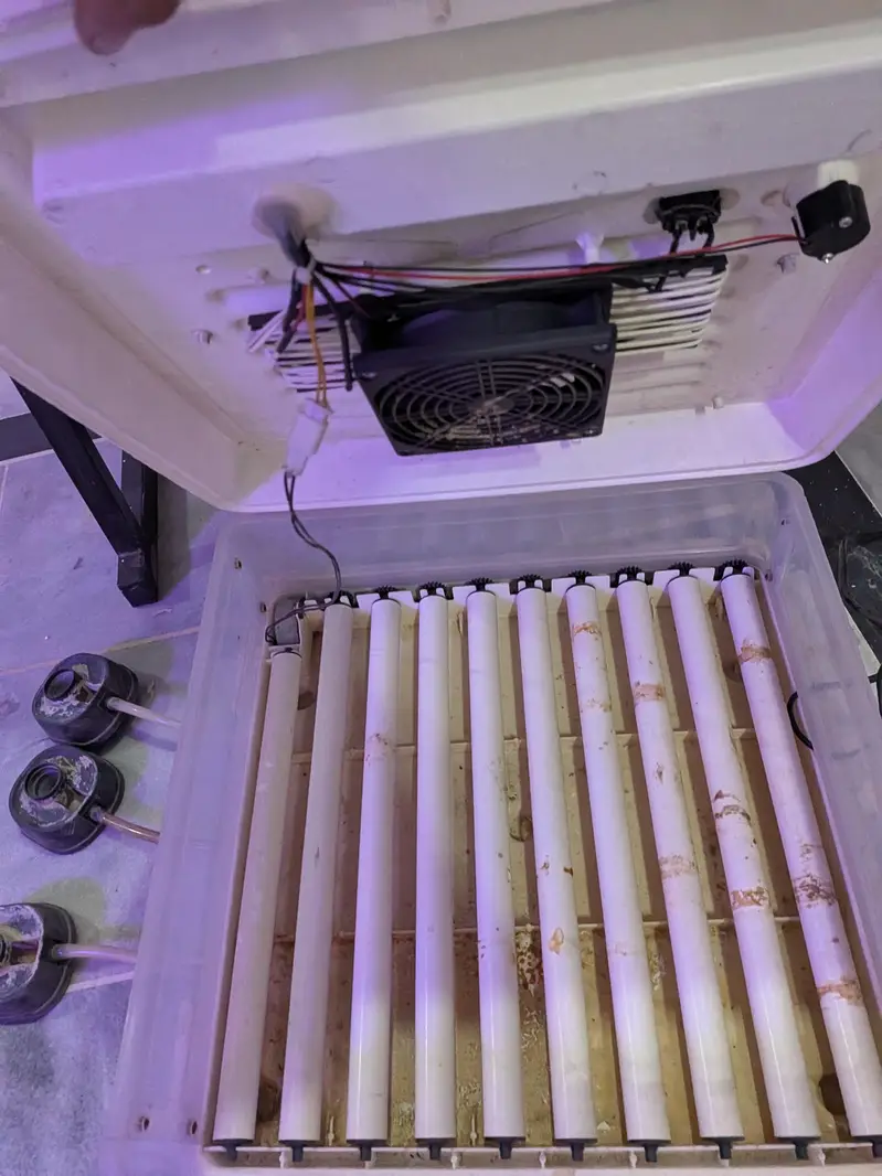 Intelligent Egg Incubator — 60 Eggs Capacity | Automatic — photo 9