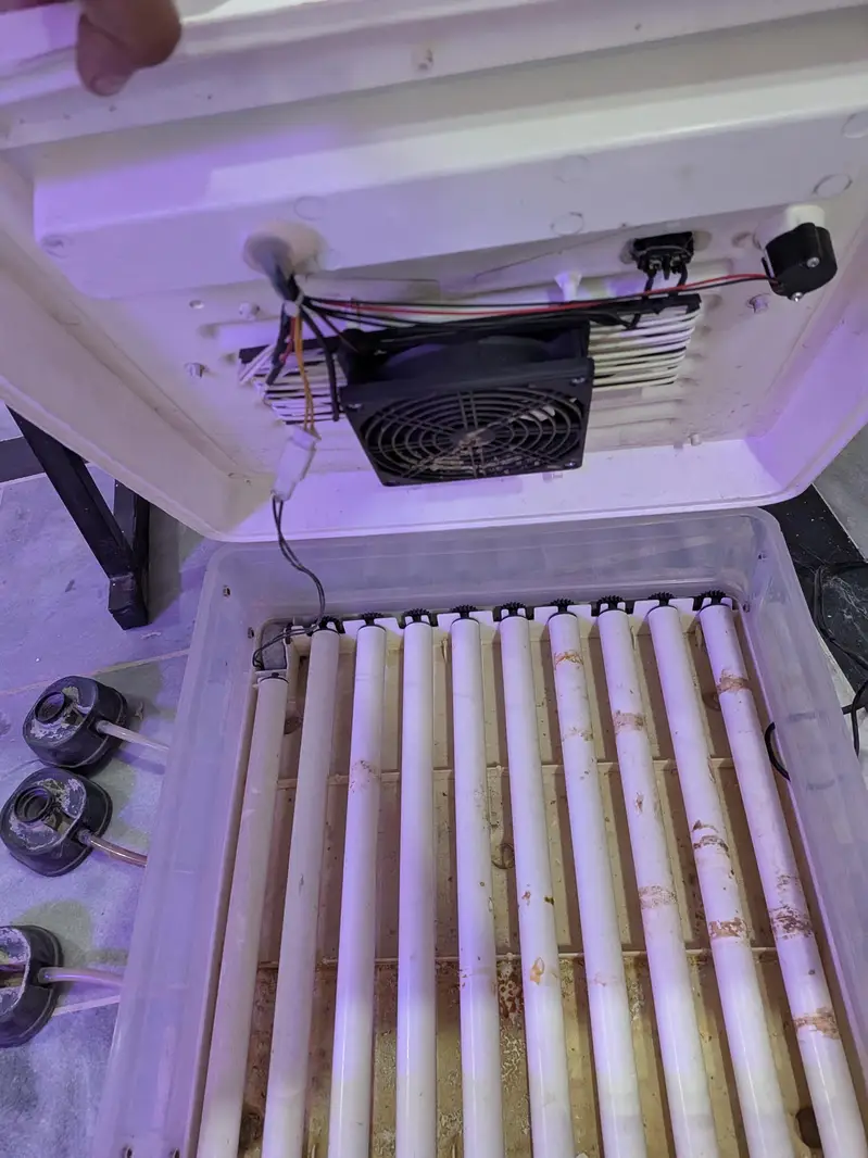 Intelligent Egg Incubator — 60 Eggs Capacity | Automatic — photo 11