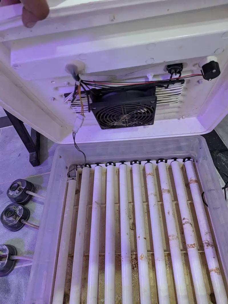 Intelligent Egg Incubator — 60 Eggs Capacity | Automatic — photo 12