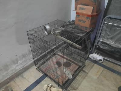 Bird cage