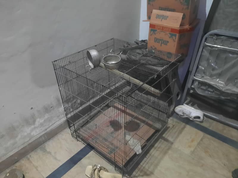 Bird cage 0