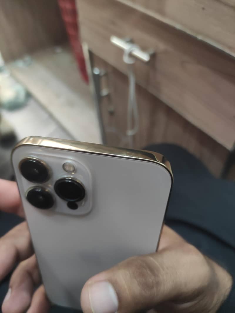Apple iPhone 13 Pro Max 1