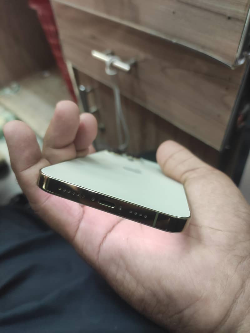 Apple iPhone 13 Pro Max 3