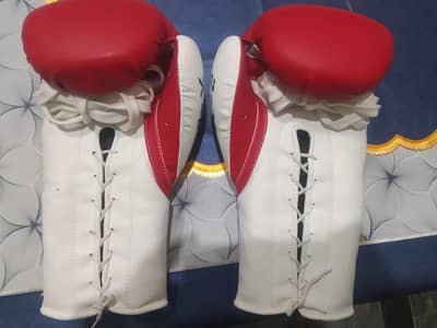 MCD Boxing gloves