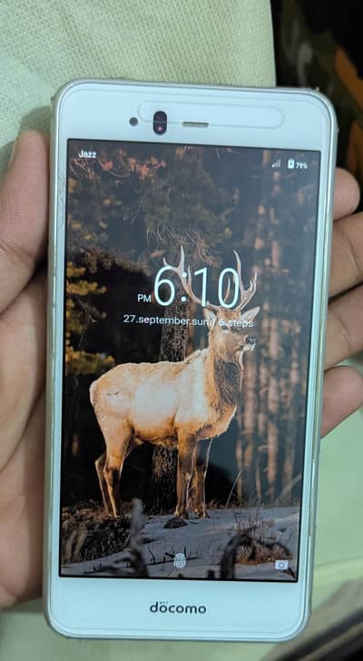 Docomo F-04K