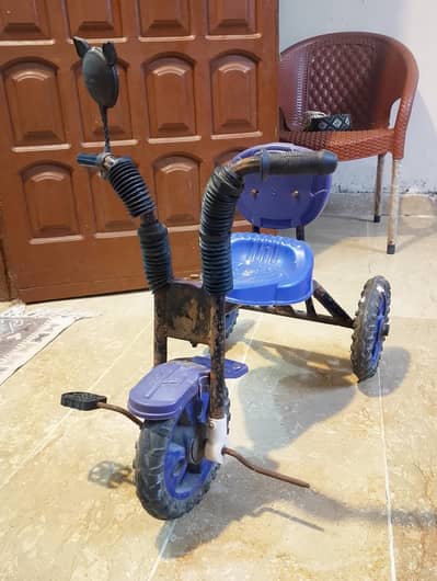 Children's Cycle