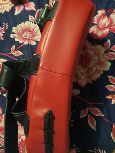 kick boxing pads
