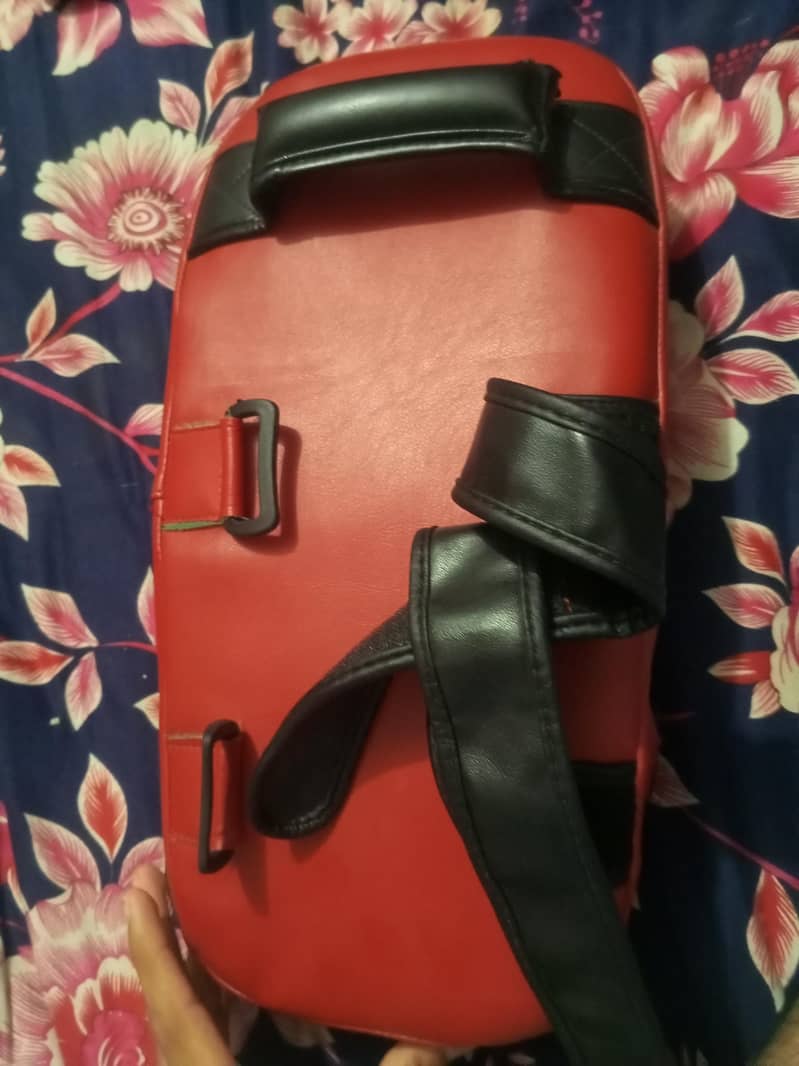 kick boxing pads 2