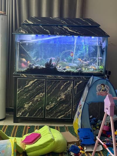 Full Aquarium with full setup 20 different fishes medium size