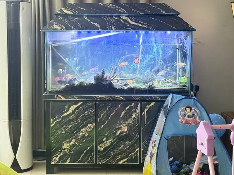 Full Aquarium with full setup 20 different fishes medium size — photo 2