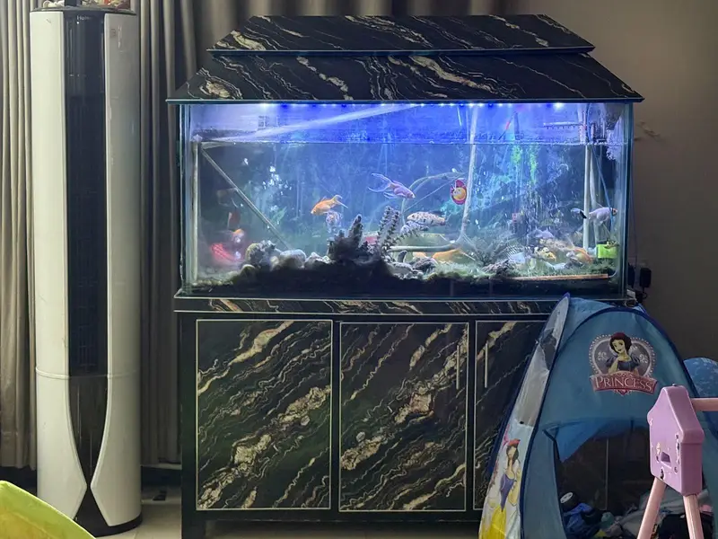 Full Aquarium with full setup 20 different fishes medium size — photo 3