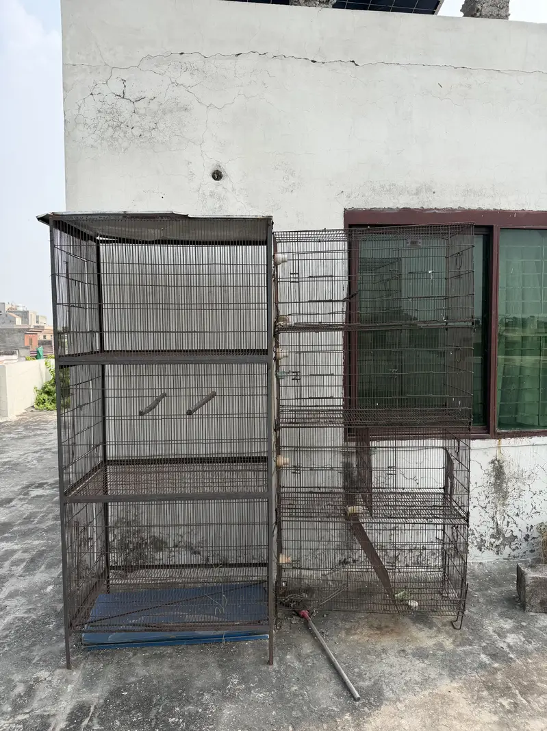 Bird Cages (pinjray) For Sale — photo 2