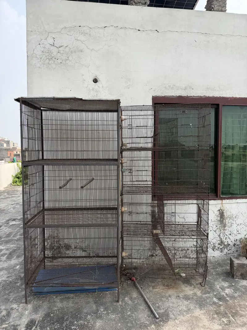Bird Cages (pinjray) For Sale — photo 3