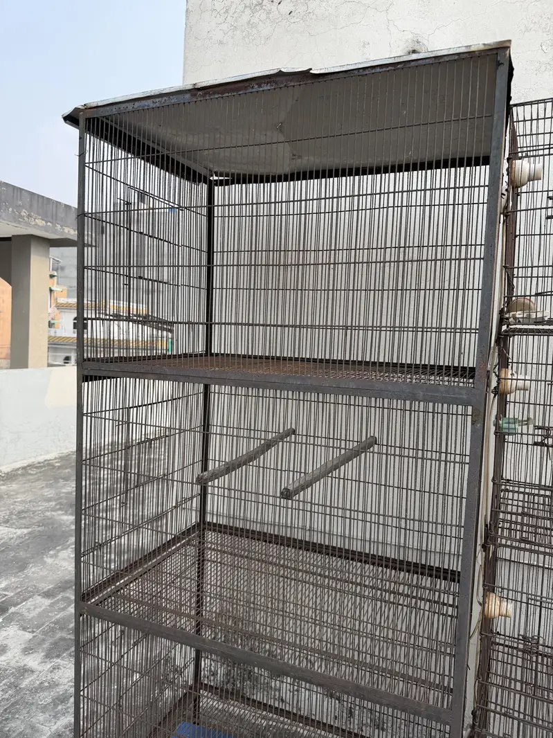 Bird Cages (pinjray) For Sale — photo 4