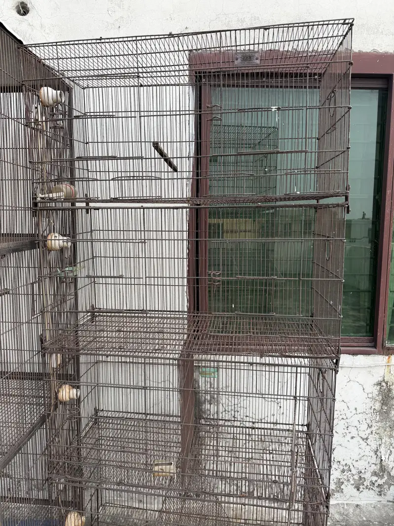 Bird Cages (pinjray) For Sale — photo 5