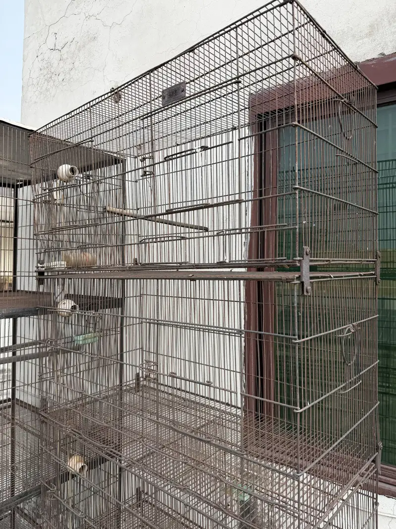Bird Cages (pinjray) For Sale — photo 6