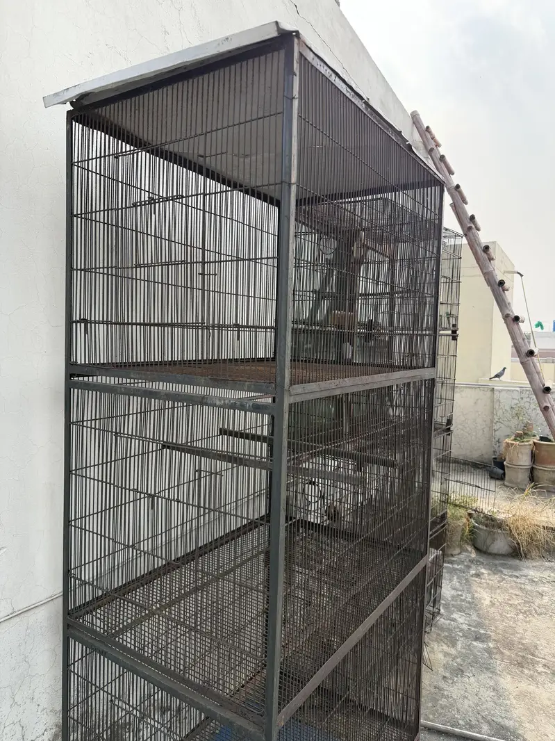 Bird Cages (pinjray) For Sale — photo 7