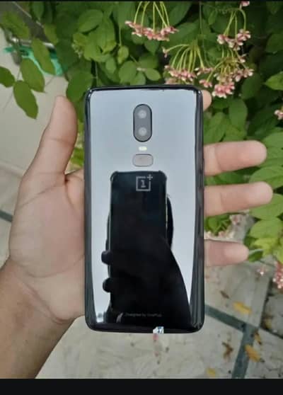 One Plus 6